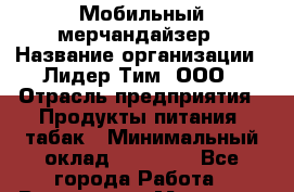 Мобильный мерчандайзер › Название организации ­ Лидер Тим, ООО › Отрасль предприятия ­ Продукты питания, табак › Минимальный оклад ­ 21 500 - Все города Работа » Вакансии   . Мордовия респ.